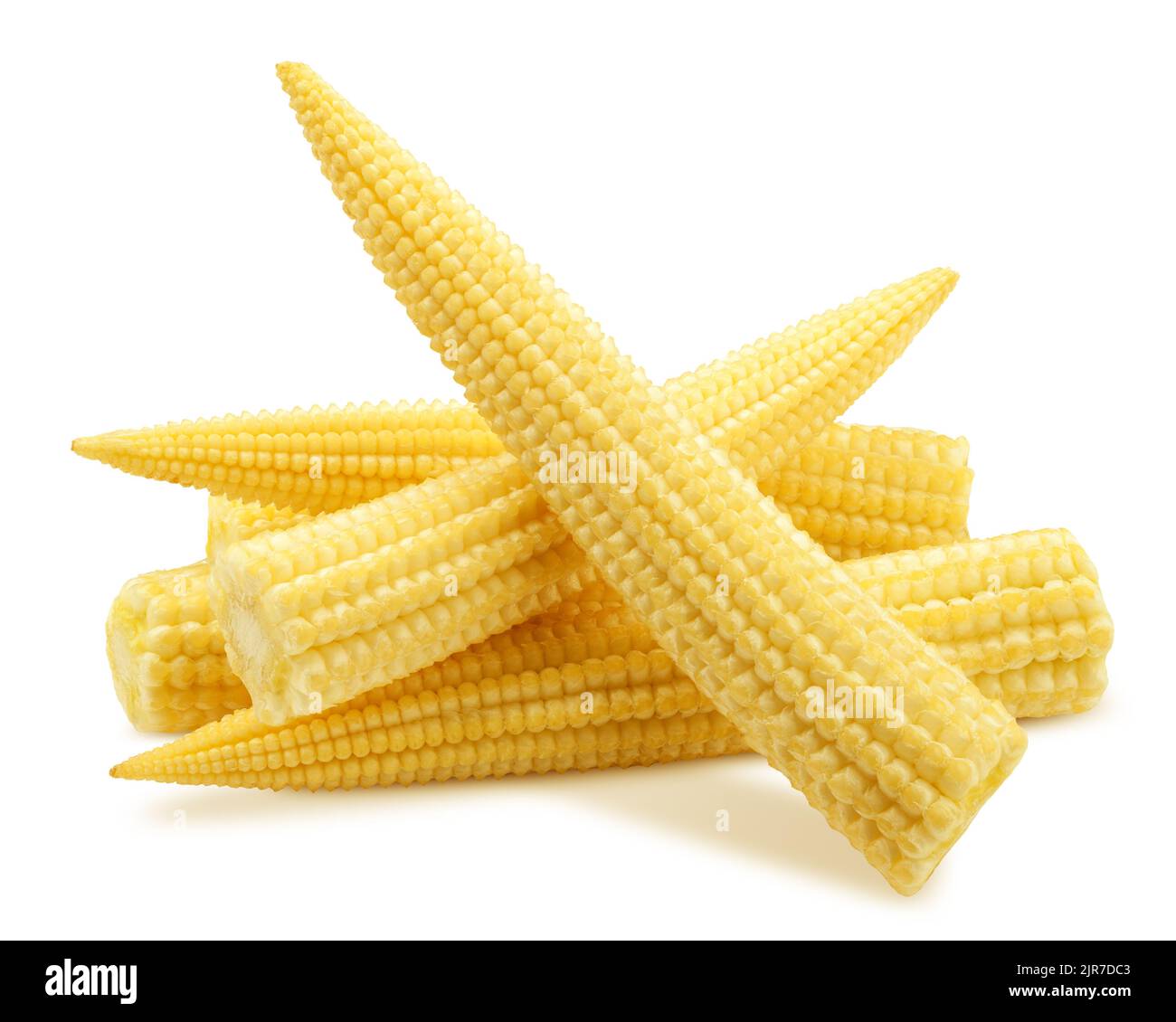 baby corn, isolated on white background, clipping path, full depth of ...