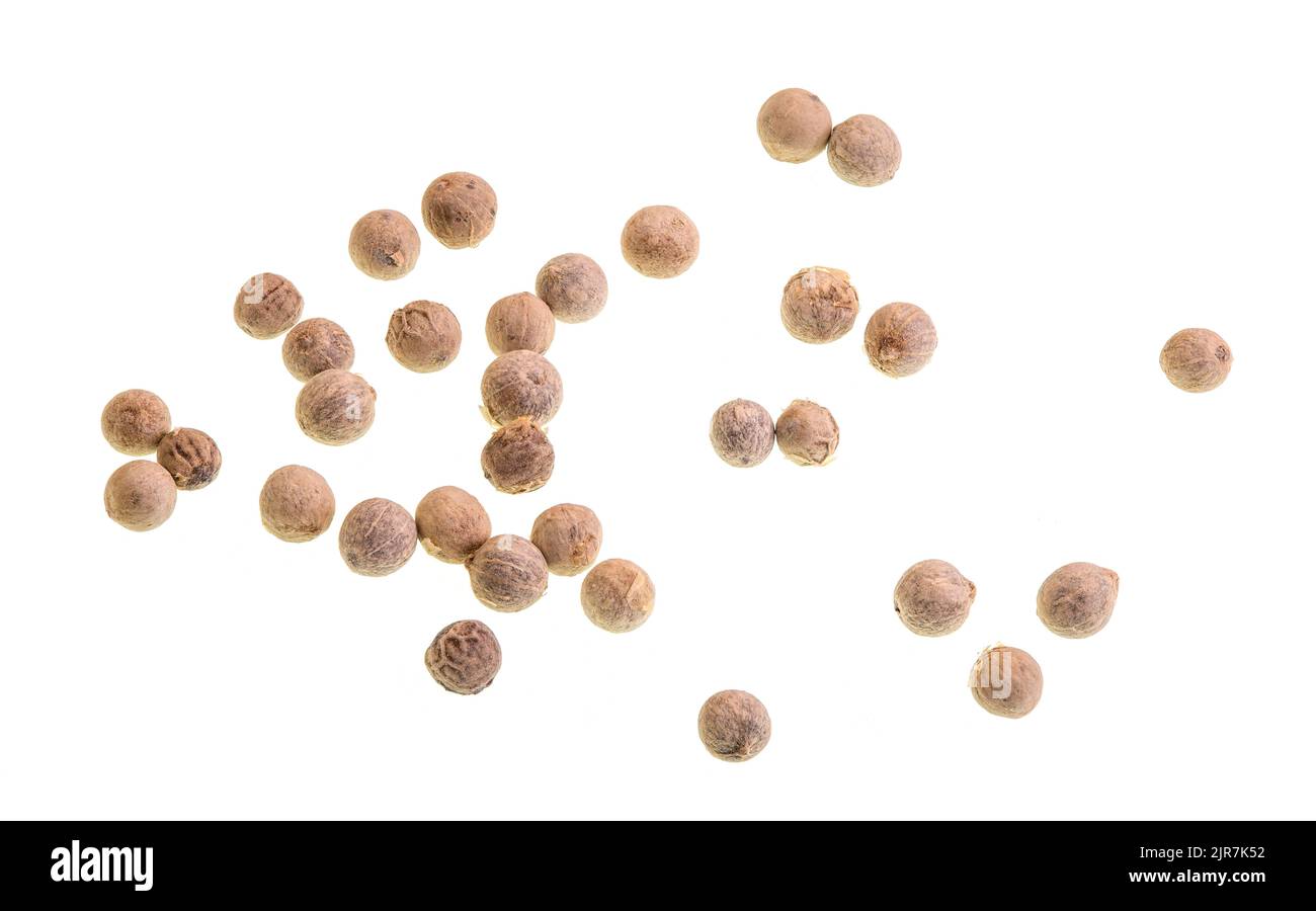 White peppercorns isolated on a white background Stock Photo