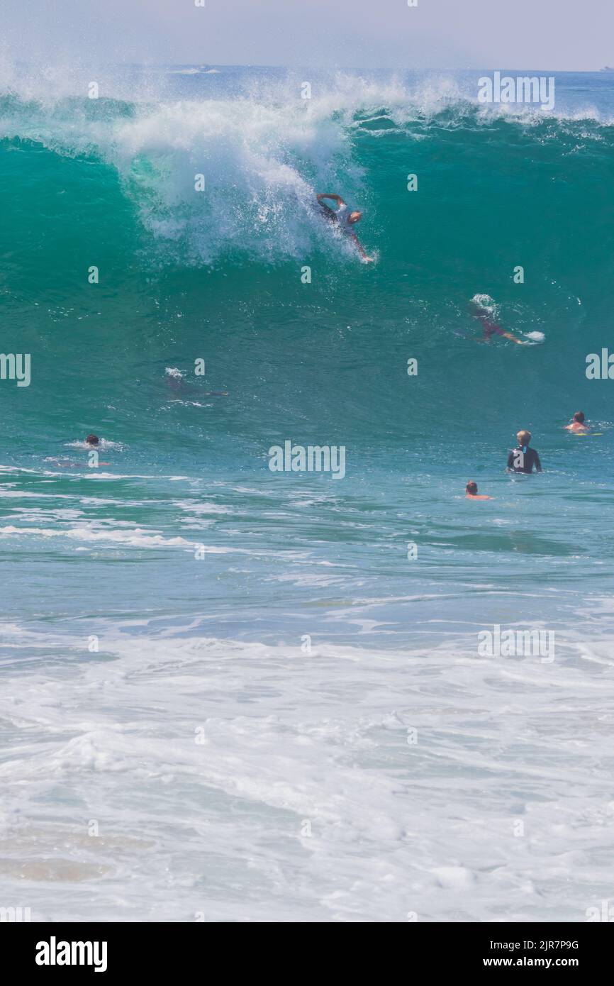 Body surfers riding big crashing waves at the Wedge, Newport Beach , California Stock Photo