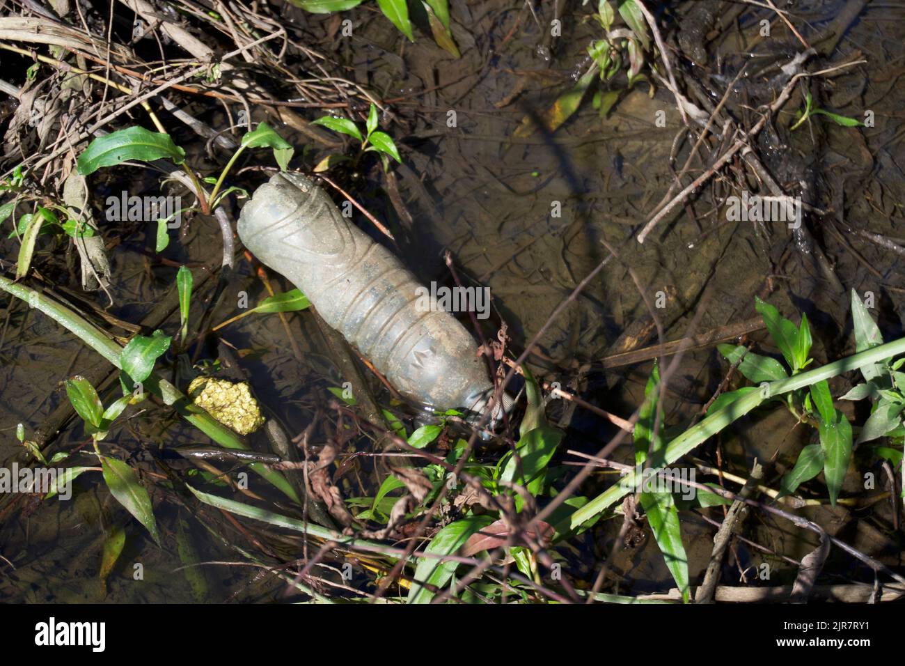 Plastic bottle, decay in time Stock Photo Alamy