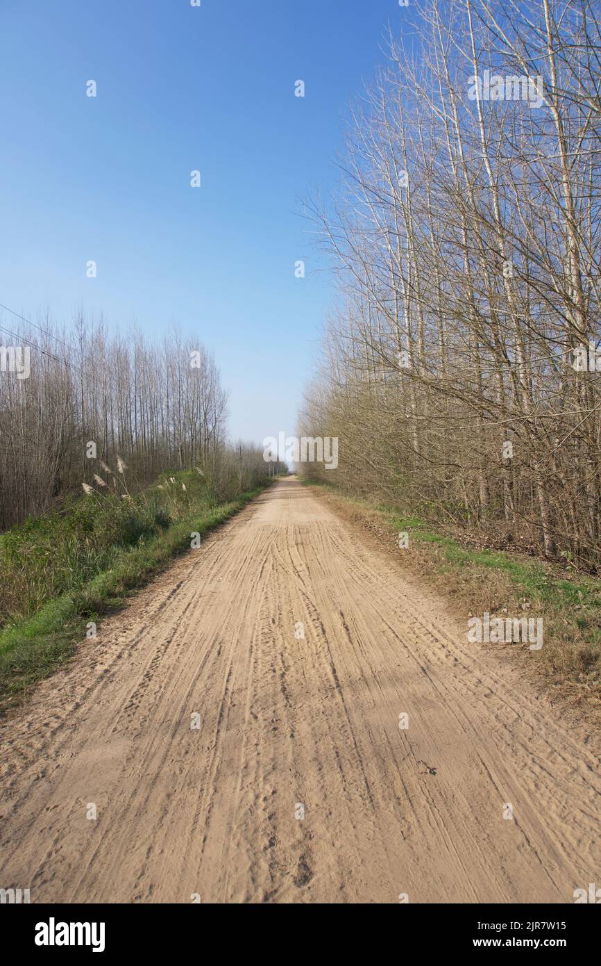 Rural Road in Buenos Aires , Argentina. Stock Photo