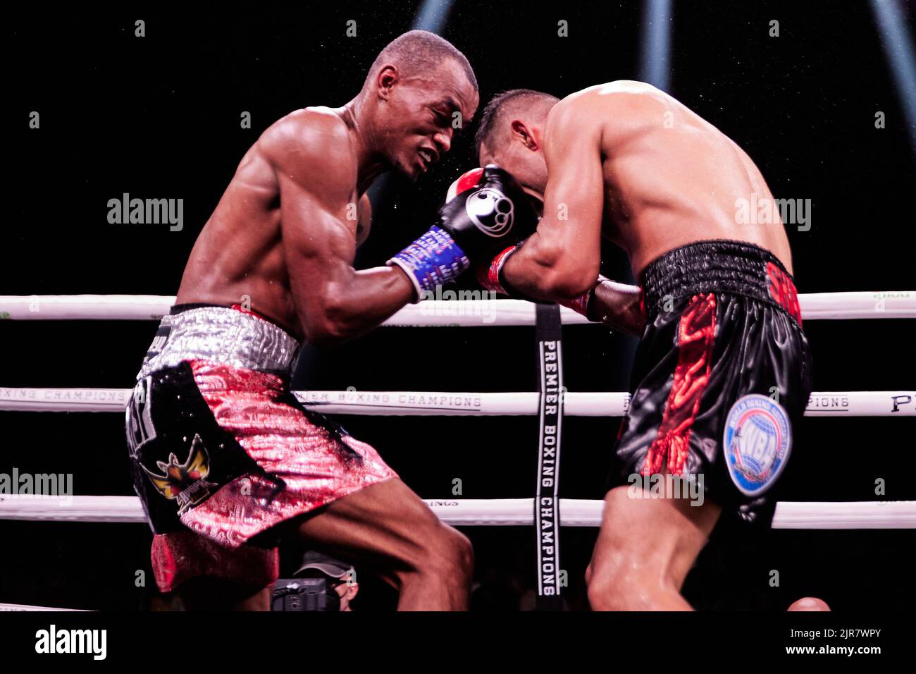 Professional boxer WBA interim superlightweight Alberto Puello defeats