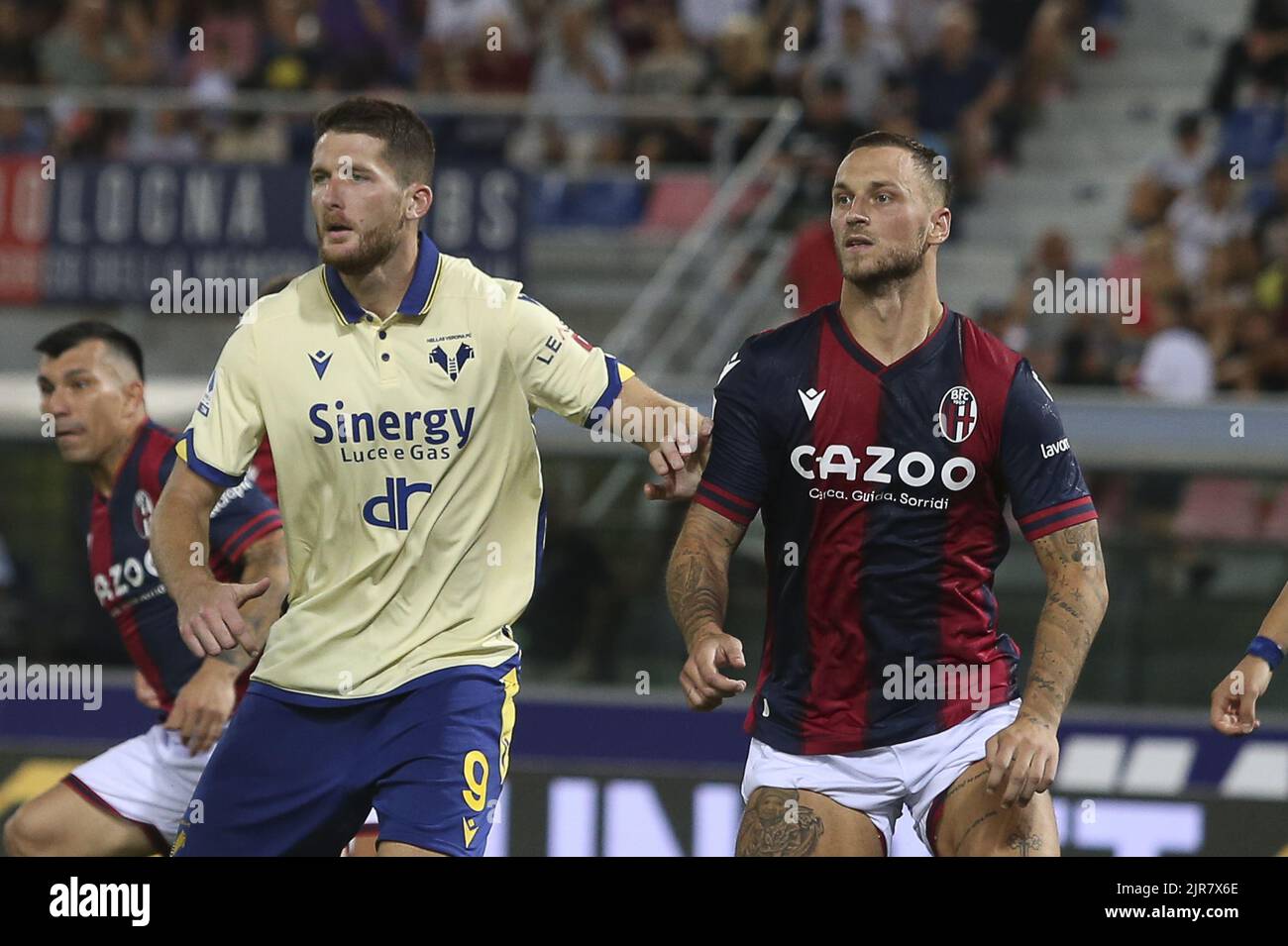 Bologna FC 1909 Official Squad 2022/23 + New Player's, Bologna FC 1909