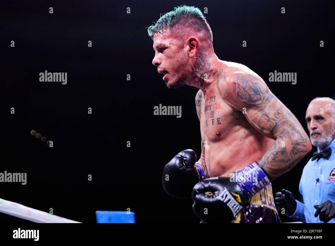 Professional boxer 2016 Summer Olympics Hector Garcia defeats WBA Super