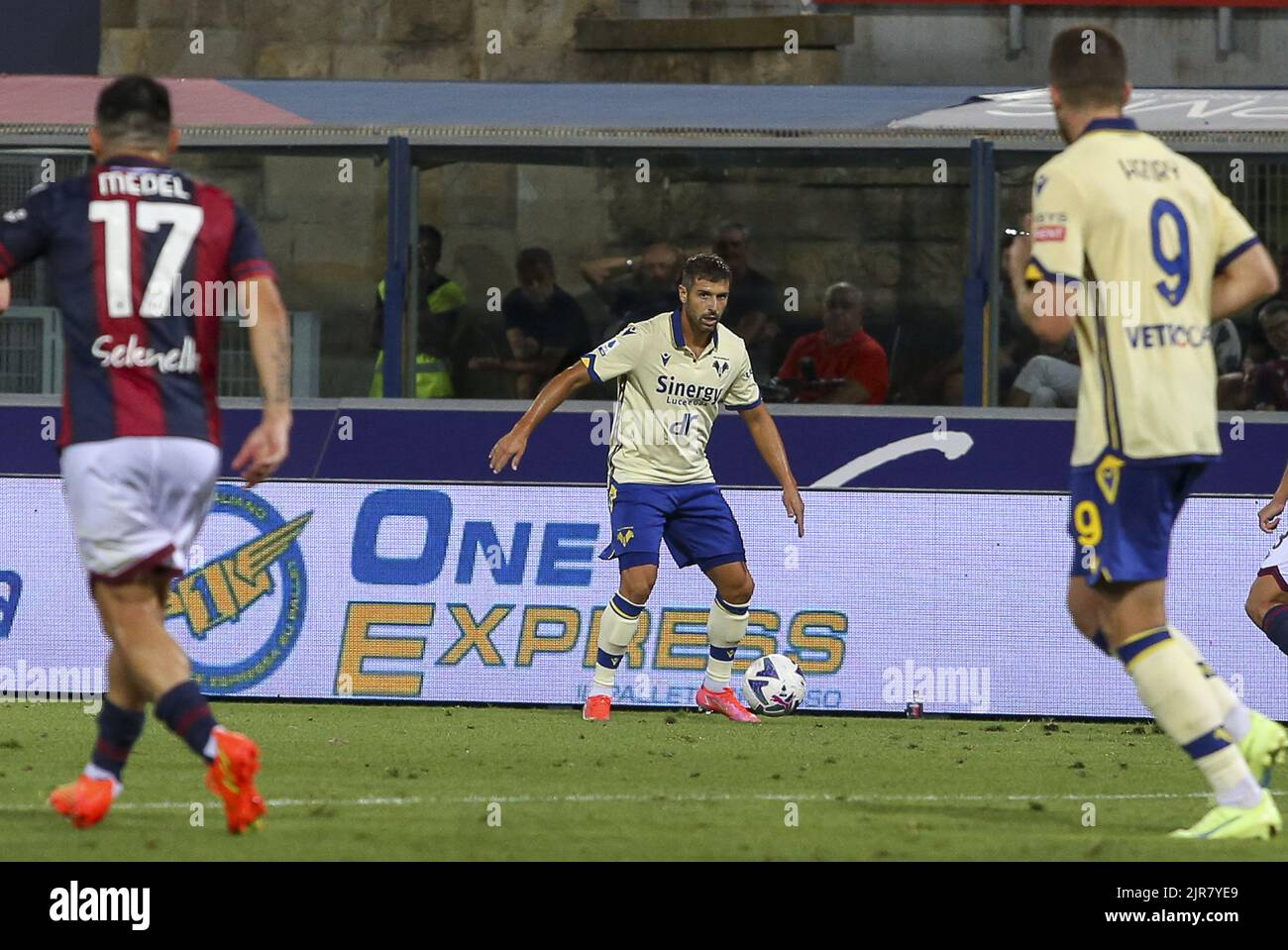 Miguel Veloso of Hellas Verona FC during Bologna FC vs Hellas Verona, 2