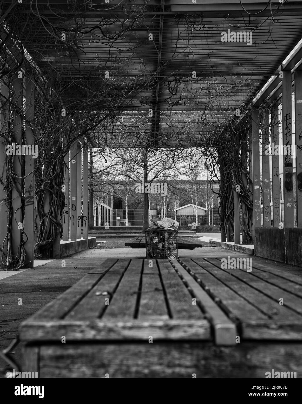 A grayscale shot of benches under a ceiling Stock Photo