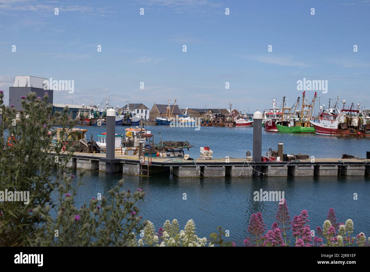 Fisher boats in the city of Howth Dublin Ireland Stock Photo Alamy