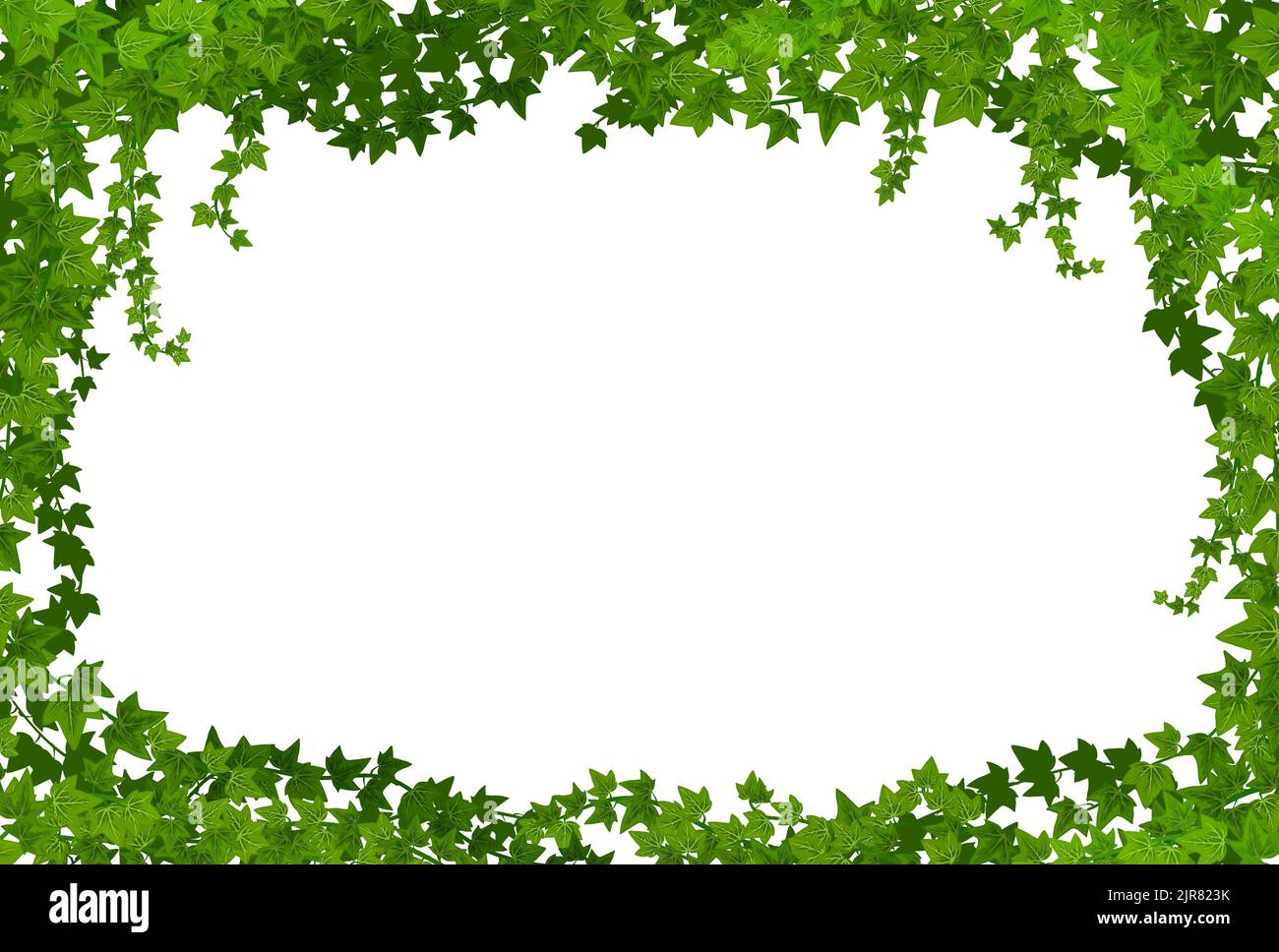 Ivy lianas frame, vector border with climbing vines, green leaves of ...