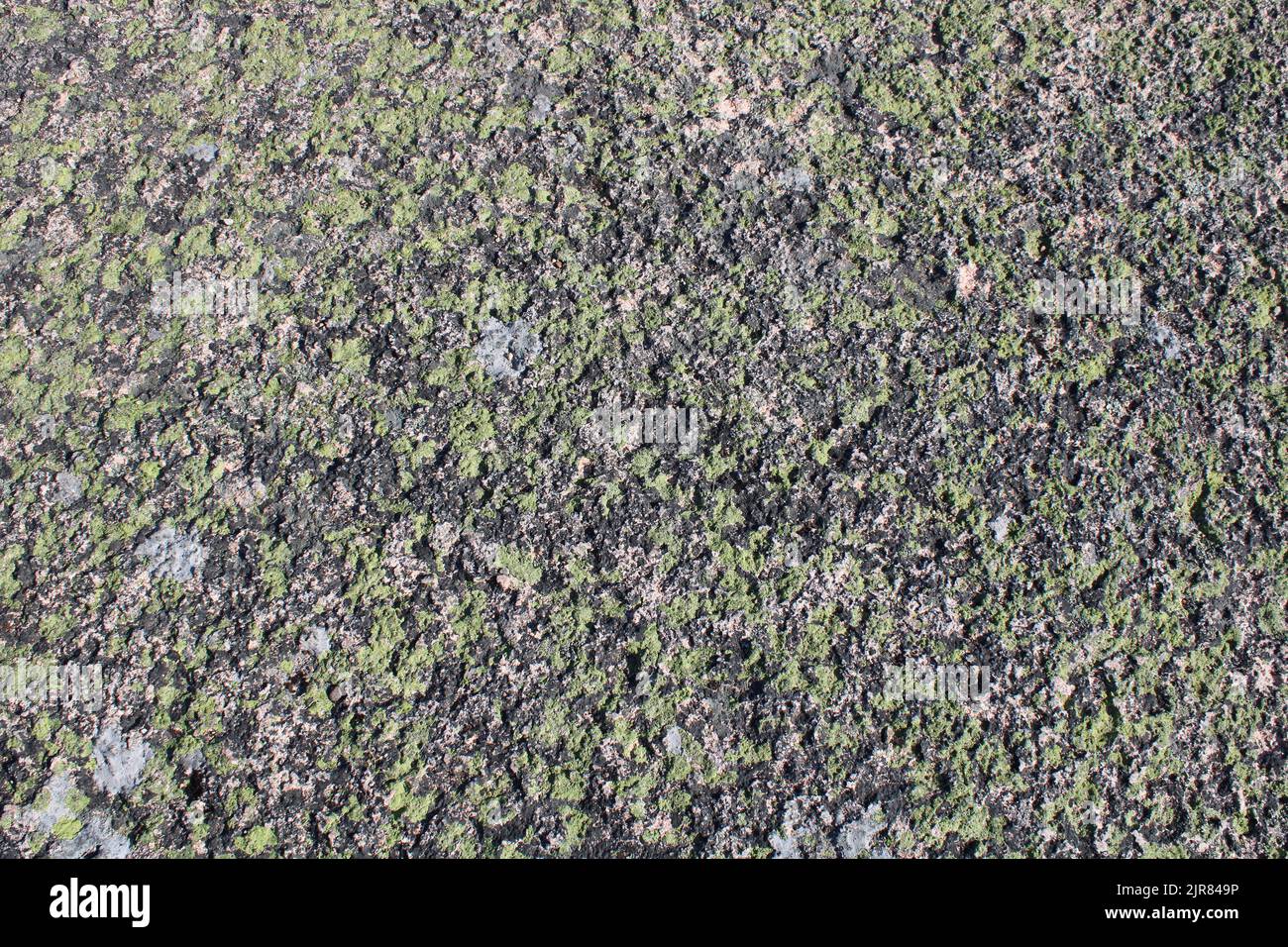 Green Lichens on a Natural Granite Rock Stock Photo - Alamy