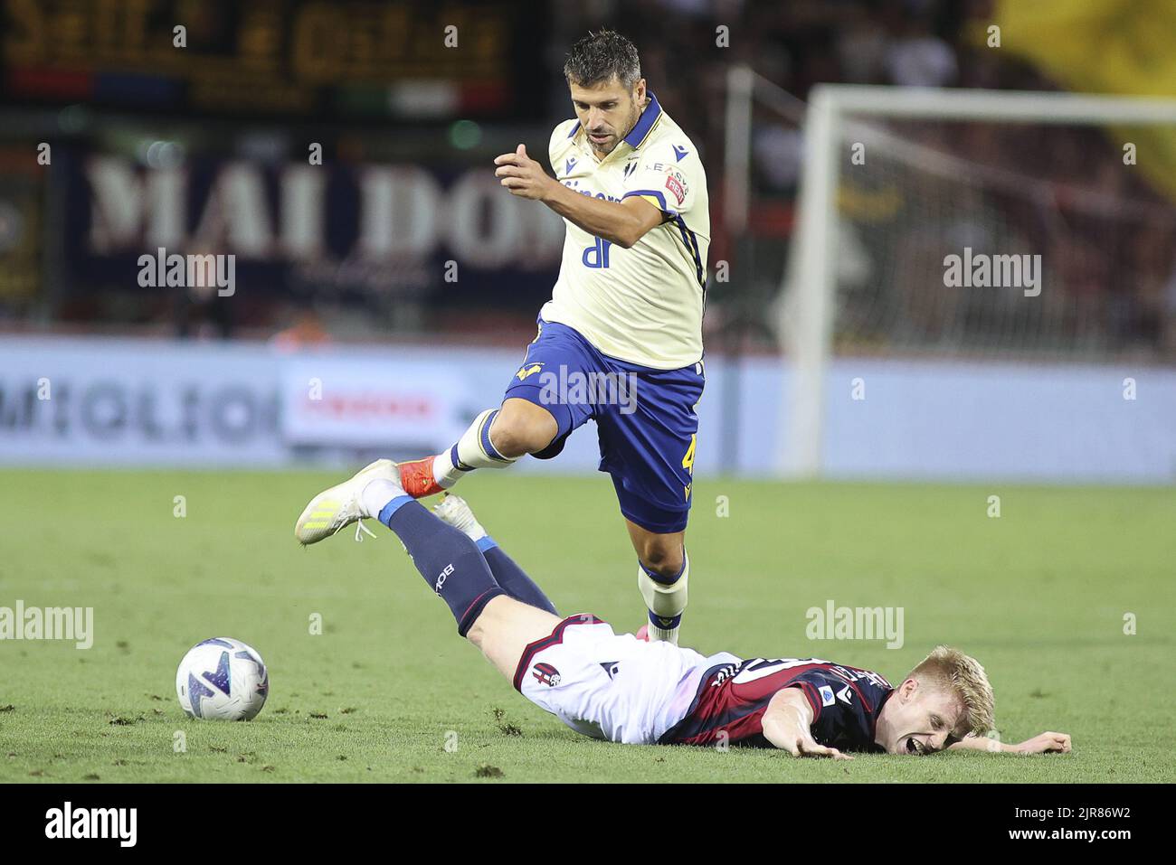 Bologna, Italy. 21st Aug, 2022. Miguel Veloso of Hellas Verona FC