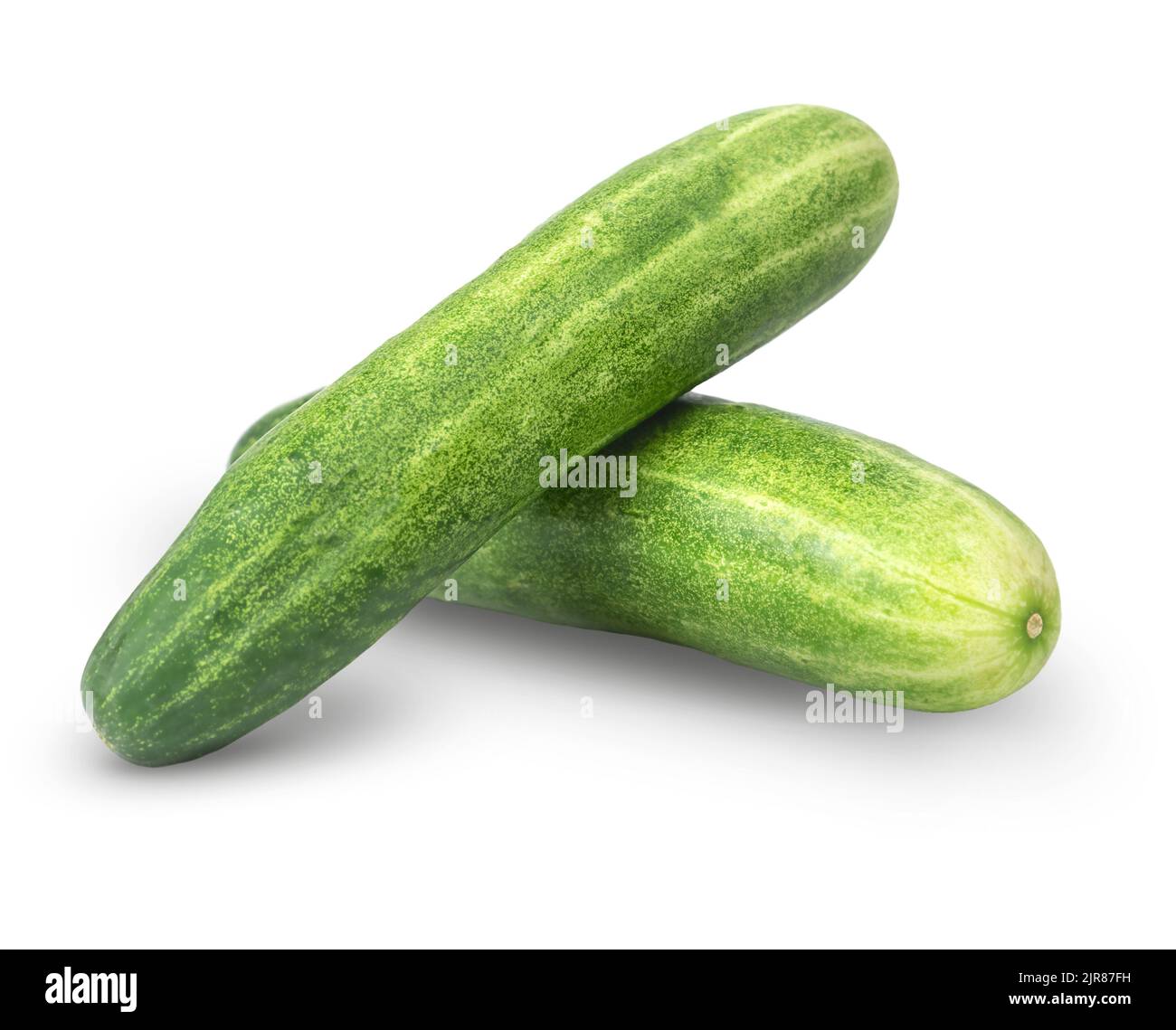 Two fresh cucumbers with shadow isolated on white background Stock Photo