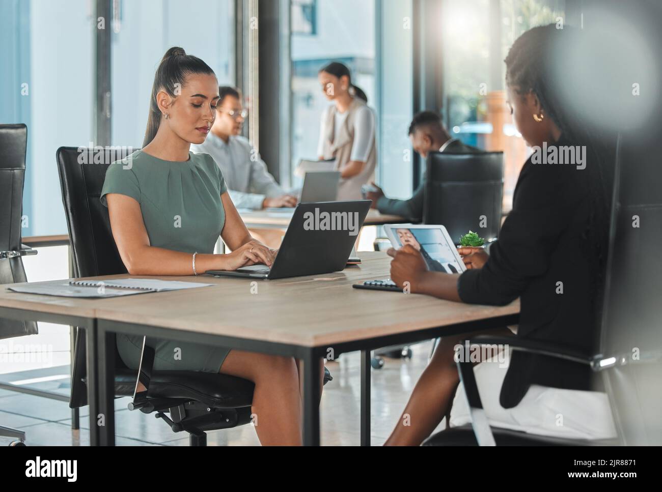 Office corporate business female employees, coworkers and team working online with digital electronics. Diverse advertising and social media marketing Stock Photo
