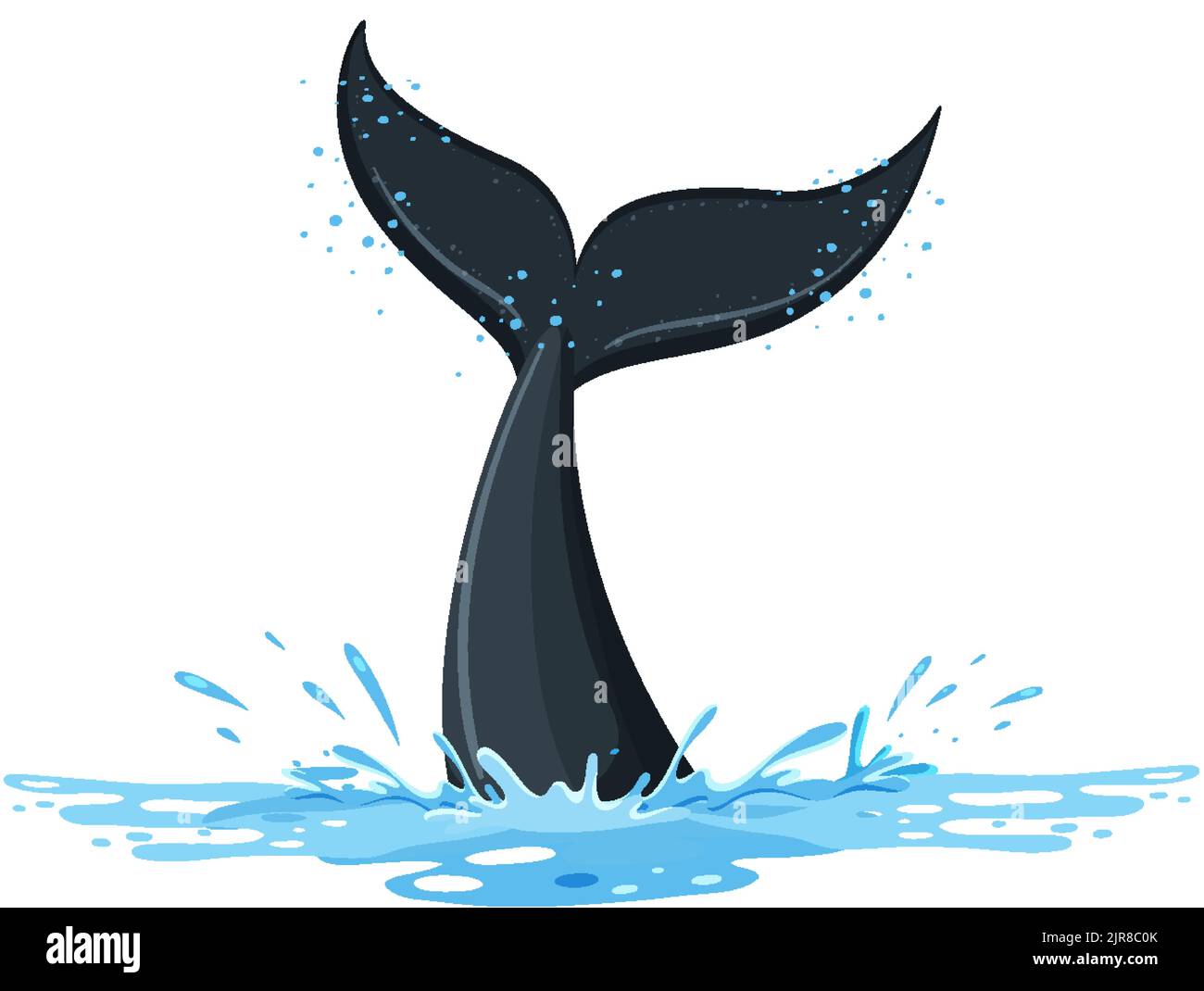 Tail of whale in the water illustration Stock Vector Image & Art - Alamy