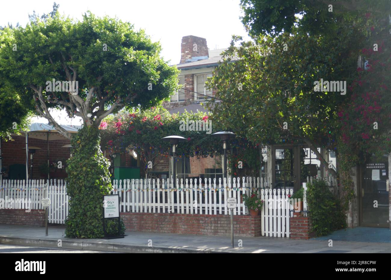 Los Angeles, California, USA 22nd August 2022 The Ivy Restaurant at 113 N. Robertson Blvd whose diners include Madonna, Michael Jackson, Jack Nicholson, Nicole Kidman, Tom Cruise, George Clooney, Jennifer Lopez, Ben Affleck, Olivia Newton-John, John Travolta, Elizabeth Taylor, Brad Pitt, Jennifer Aniston, Demi Moore, Laurence Olivier, Marlene Dietrich, in Los Angeles, California, USA. Photo by Barry King/Alamy Stock Photo Stock Photo