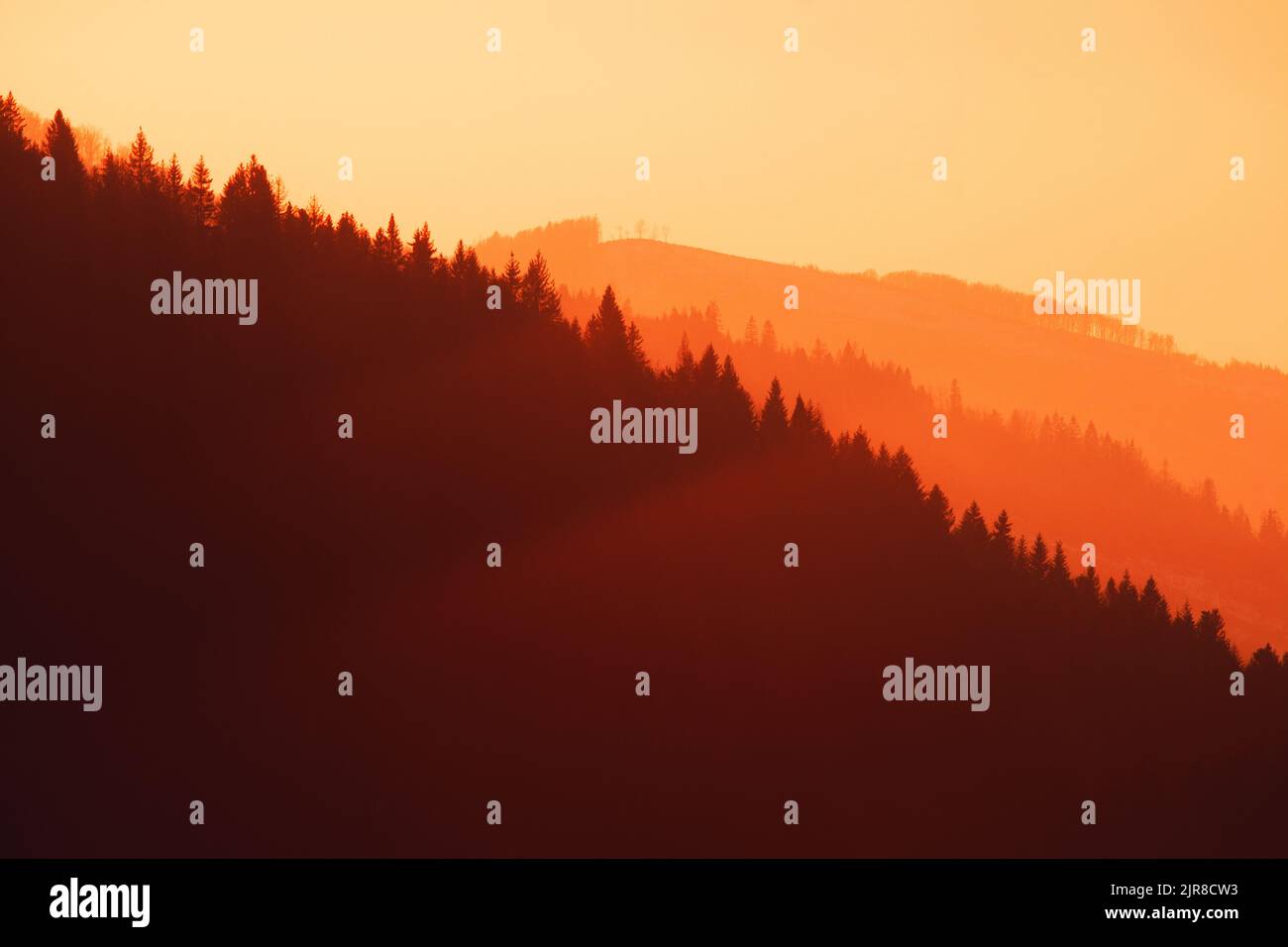 The silhouettes of forest mountains in the golden hour - sunset Stock ...