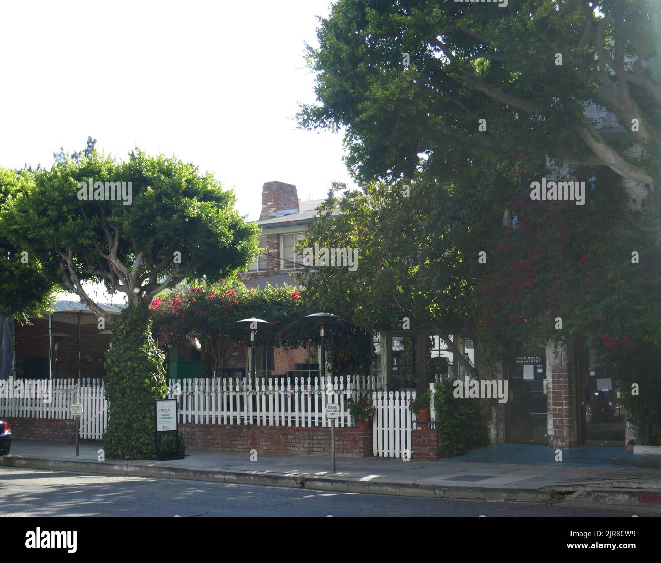Los angeles california usa 22nd august 2022 the ivy restaurant at 113