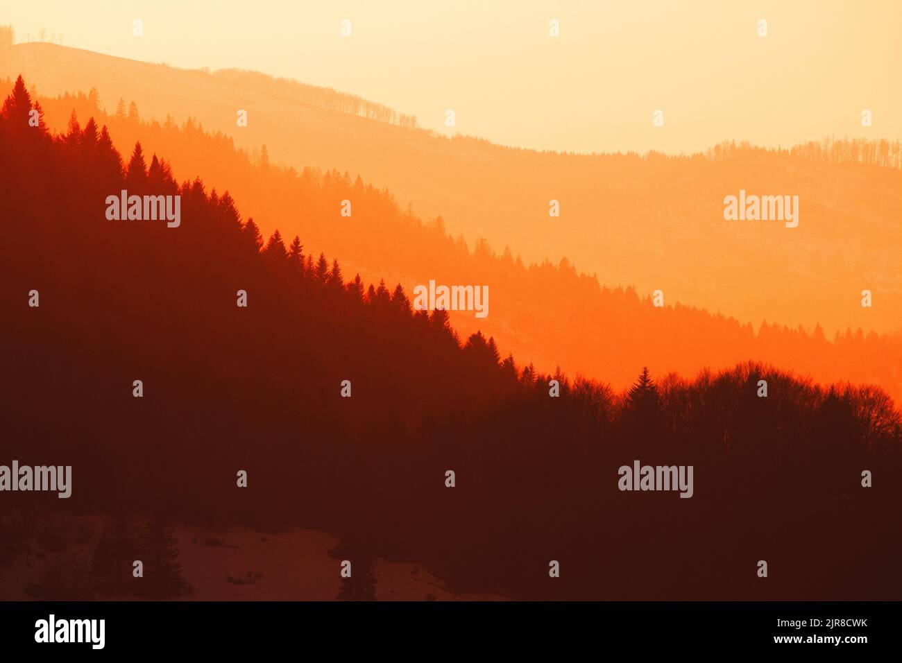 The silhouettes of forest mountains in the golden hour - sunset Stock ...