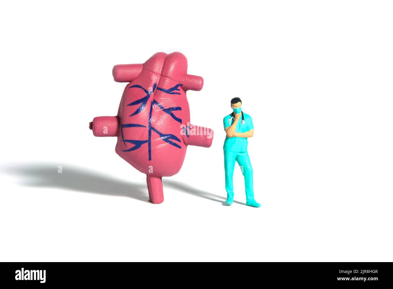 Miniature people toy figure photography. A men doctor or nurse thinking while standing in front of heart organ. Isolated white background. Image photo Stock Photo