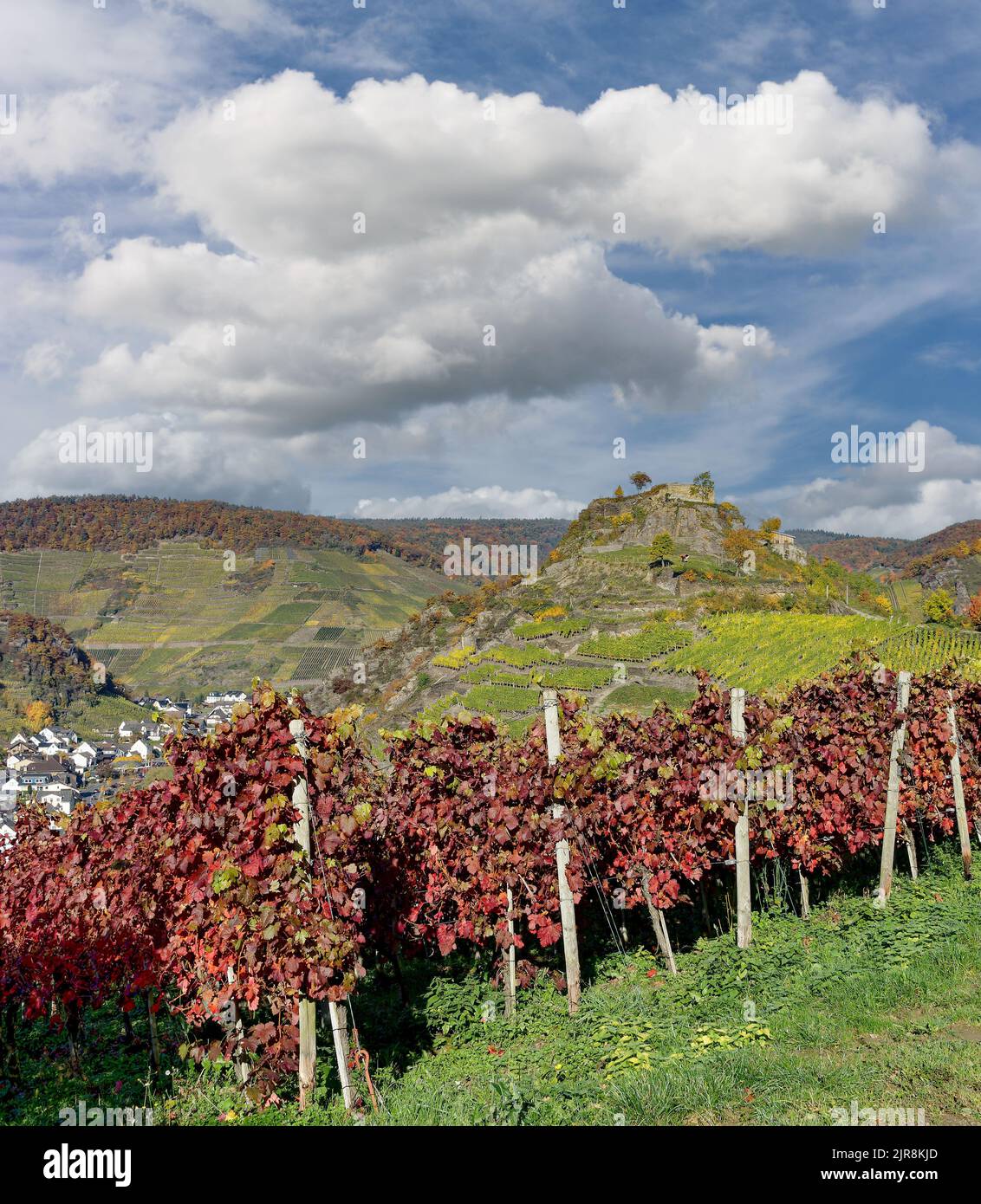 Wine Village of Mayschoss,Ahrtal,Germany Stock Photo