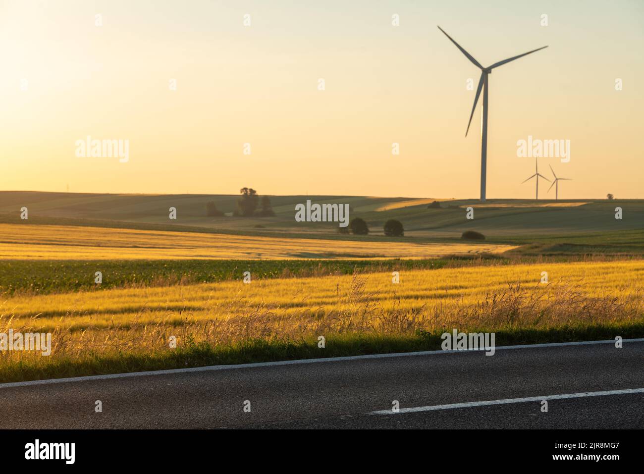 Asphalt road running through rural landscape-green fields and windmills Stock Photo