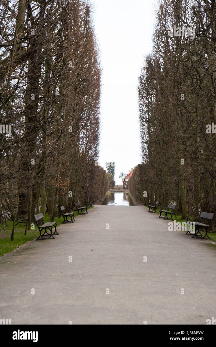 Empty wooden bench in the park on a cloudy day in autumn spring season ...