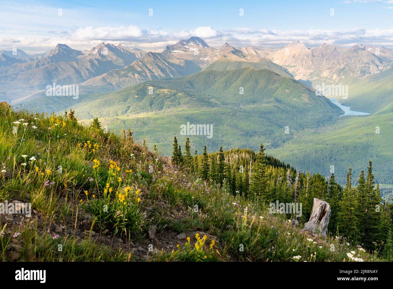 Stunning alpine meadow view of Glacier National Park from the top of ...