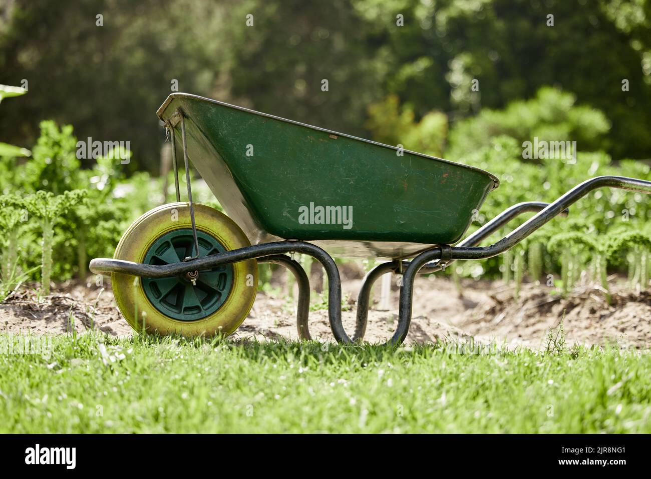 Farm or garden wheelbarrow on nature, agriculture environment or green