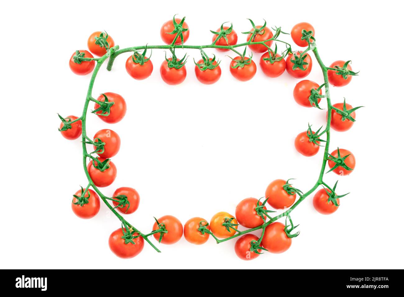 Delicious and rich tomatoes on a branch with drops of water, isolated ...