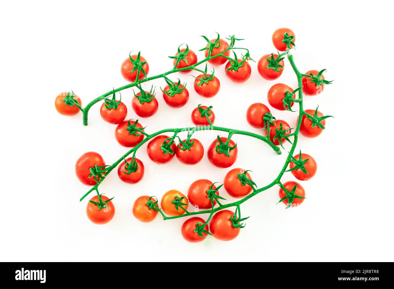 Delicious and rich tomatoes on a branch with drops of water, isolated ...
