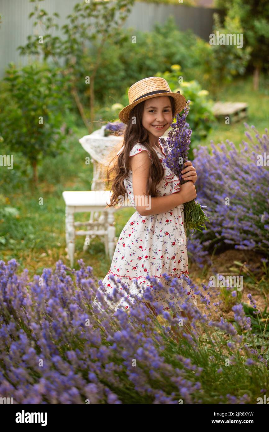 Beautiful long hair girl near lavender bushes at the garden. The girl is walking in the yard and collect flowers. A girl in a hat and dress. Stock Photo