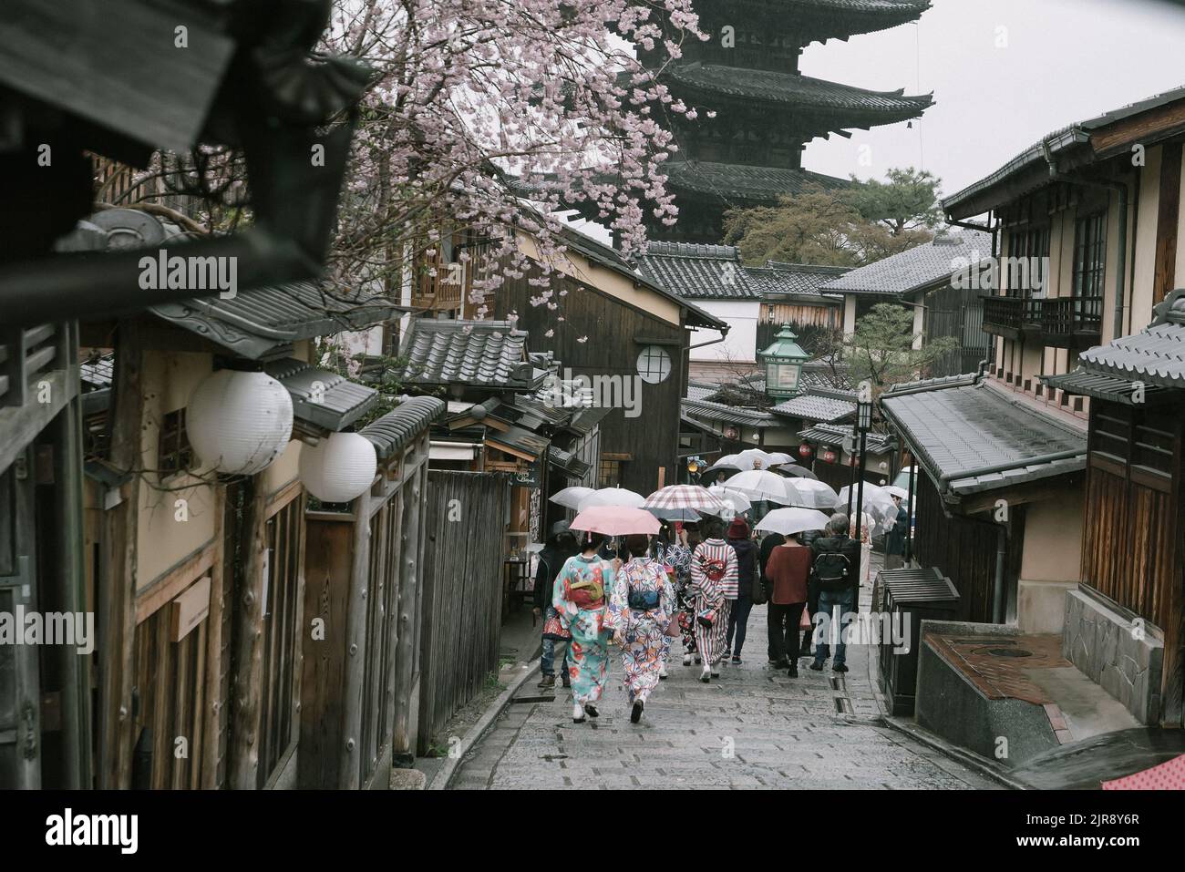 Old town Kyoto during sakura season in Japan at sunset Stock Photo - Alamy