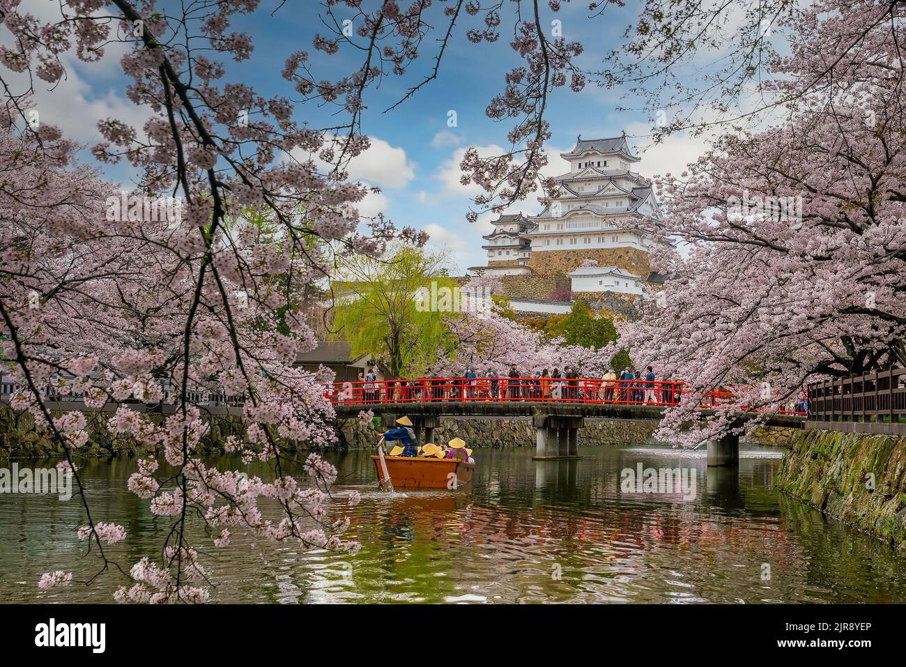 Himeji Castle and full cherry blossom in Japan Stock Photo - Alamy