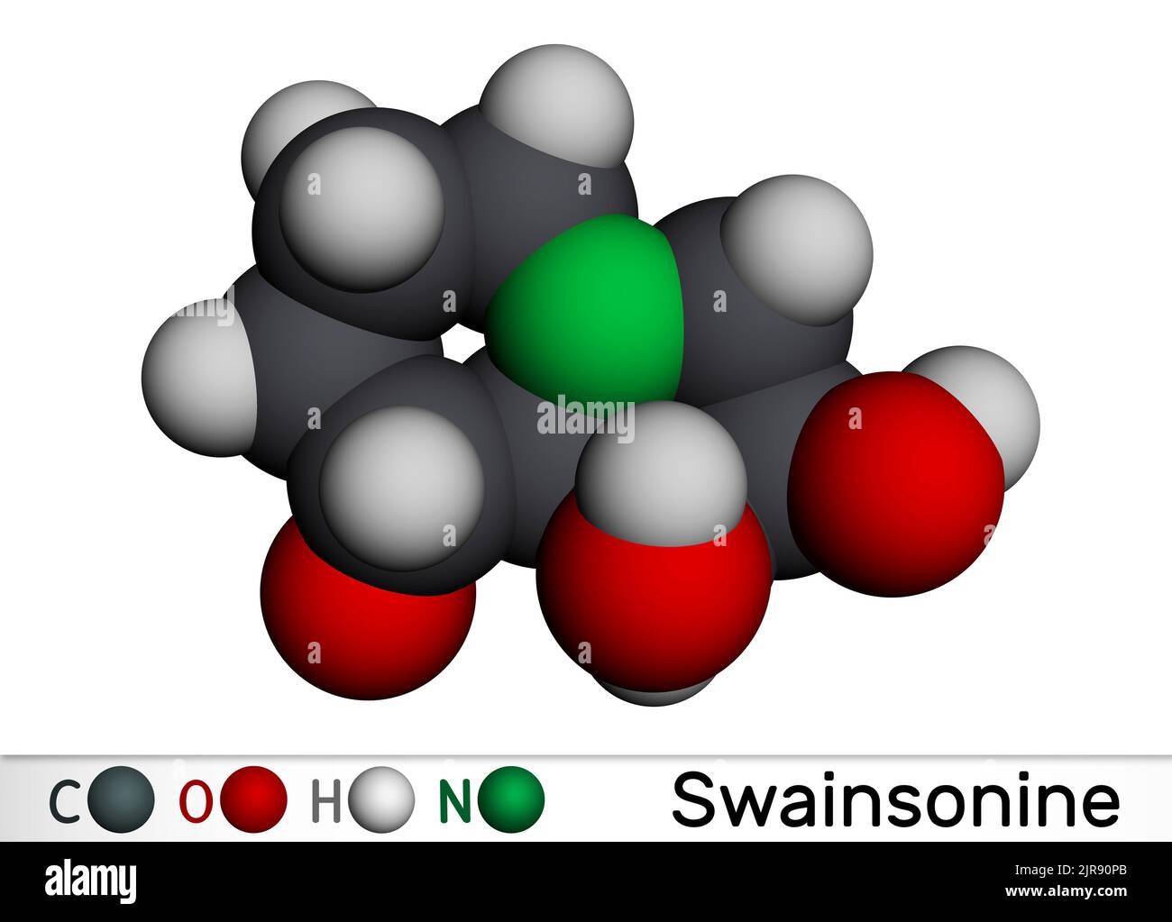 Swainsonine, tridolgosir molecule. It is indolizidine alkaloid from the plant Swainsona, with immunomodulatory activity. Molecular model. 3D rendering Stock Photo