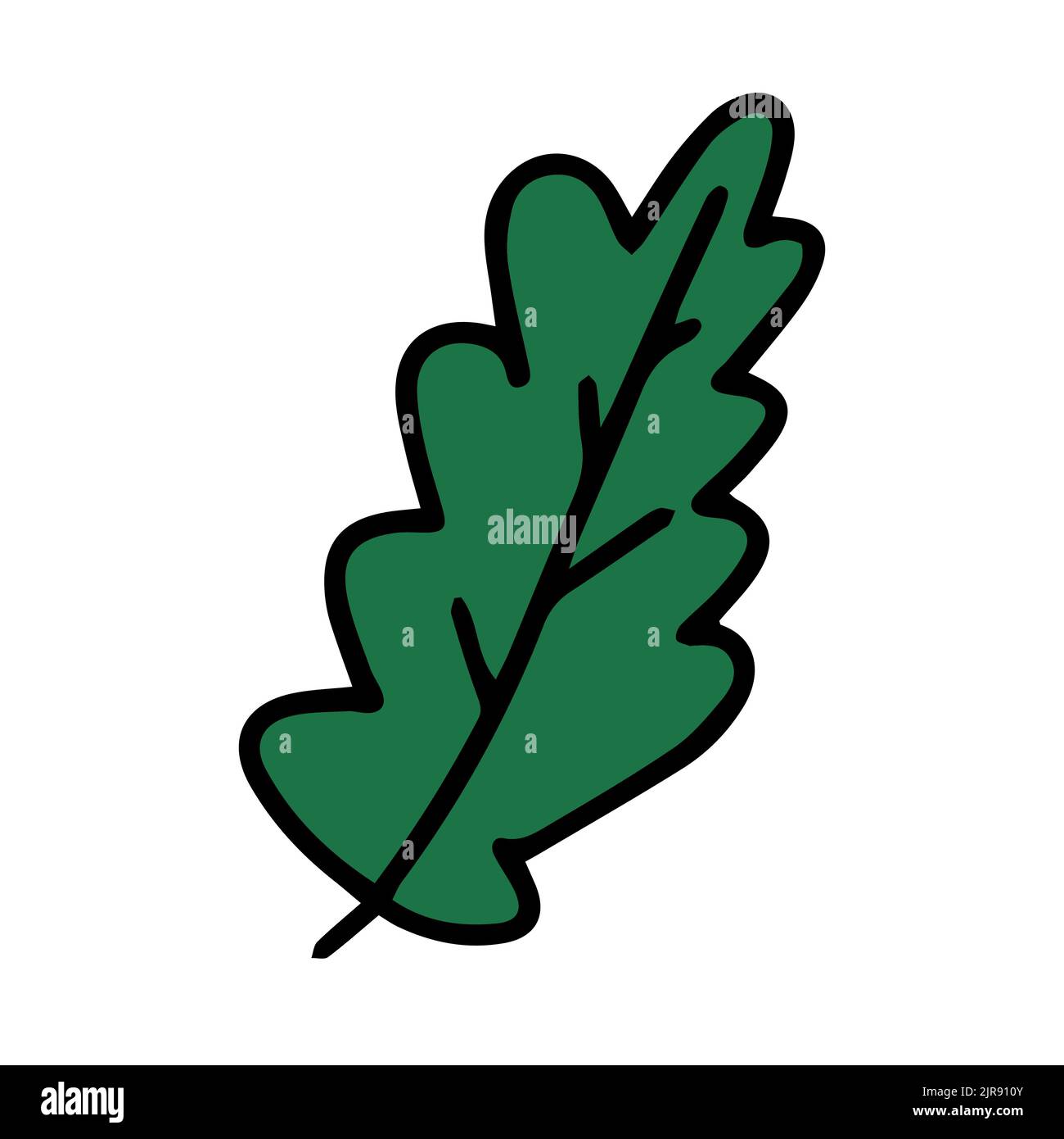 Fresh natural green leaf colored with stroke. Vector illustration Stock Vector