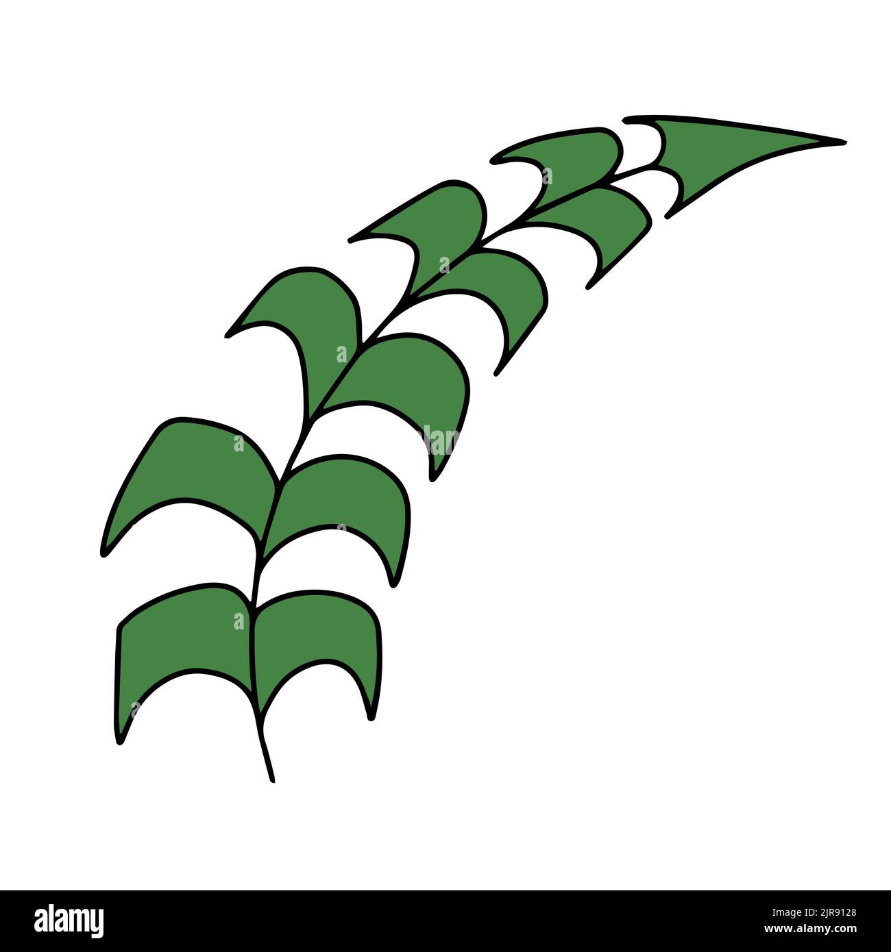 Fresh natural green leaf colored with stroke. Vector illustration Stock Vector
