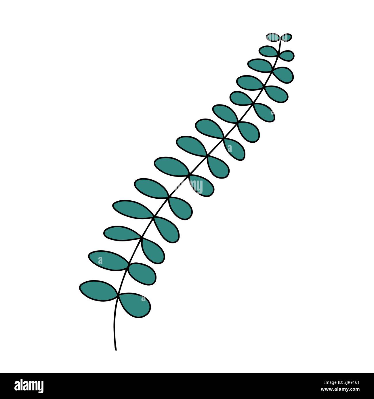 Fresh natural green leaf colored with stroke. Vector illustration Stock Vector