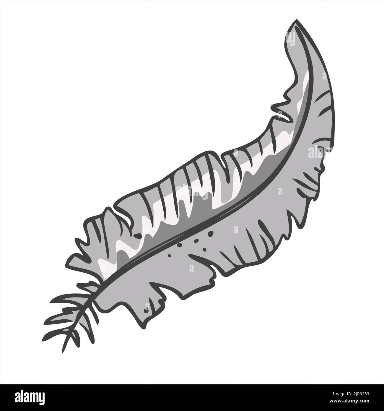 Gray bird feather. Vector illustration in hand drawn style Stock Vector