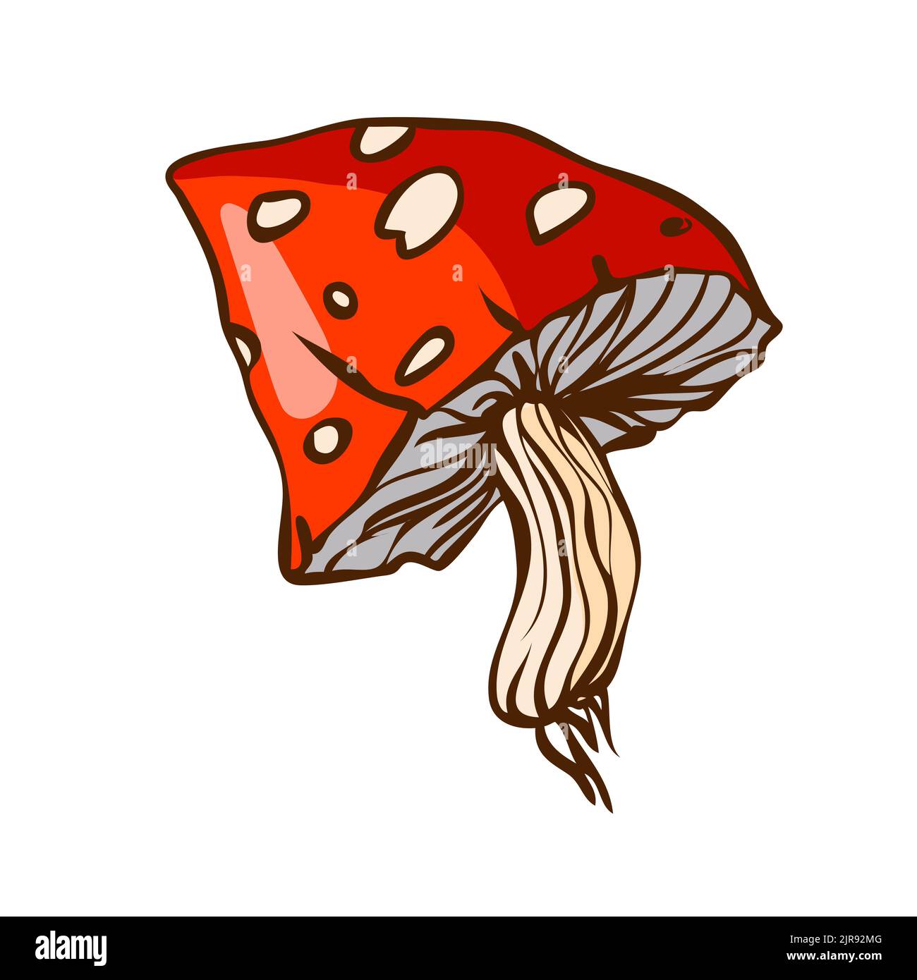 Large red forest mushroom fly agaric. Vector illustration in hand drawn