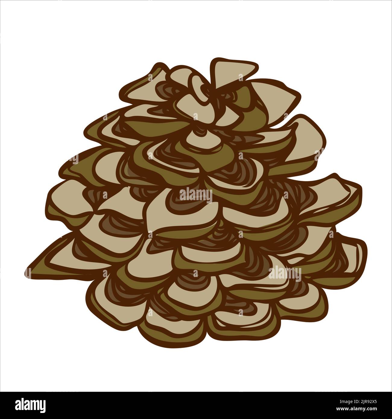 Forest pine cone. Vector illustration in hand drawn style Stock Vector