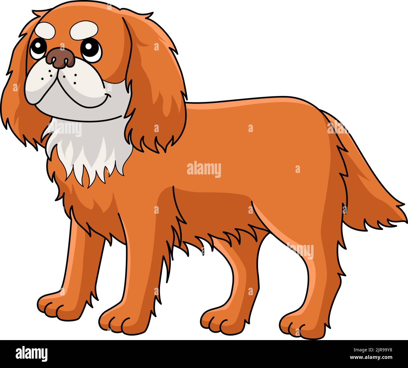 King Charles Spaniel Dog Cartoon Colored Clipart Stock Vector Image