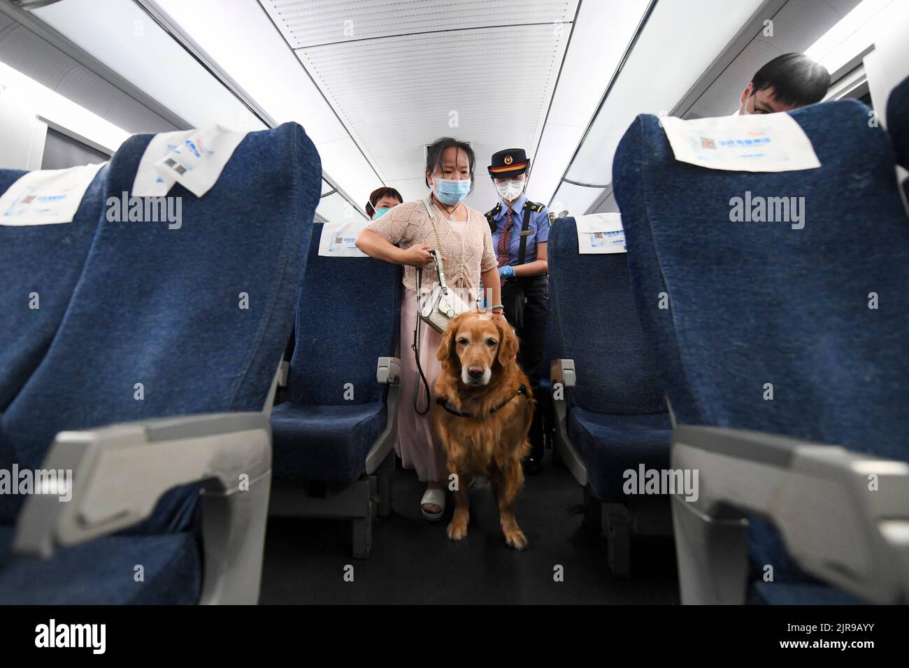 Guangdong, China's Guangdong Province. 19th Aug, 2022. Zhang Li and her guide dog Man Yue are about to get off the train in Shenzhen, south China's Guangdong Province, Aug. 19, 2022. Zhang Li, a visually impaired person, returned to Huizhou from Heyuan in Guangdong Province by train. Accompanying her during the trip was her guide dog Man Yue.Since 2017, Man Yue has been to many places with Zhang Li and become a family member of Zhang. Credit: Mao Siqian/Xinhua/Alamy Live News Stock Photo