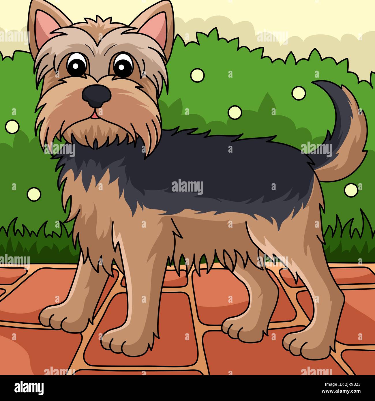 Yorkshire Terrier Dog Colored Cartoon Illustration Stock Vector