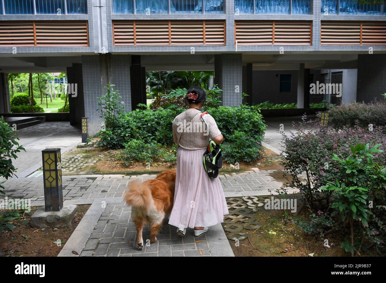 Guangdong, China's Guangdong Province. 19th Aug, 2022. Zhang Li and her guide dog Man Yue arrive home in Huizhou, south China's Guangdong Province, Aug. 19, 2022. Zhang Li, a visually impaired person, returned to Huizhou from Heyuan in Guangdong Province by train. Accompanying her during the trip was her guide dog Man Yue.Since 2017, Man Yue has been to many places with Zhang Li and become a family member of Zhang. Credit: Mao Siqian/Xinhua/Alamy Live News Stock Photo