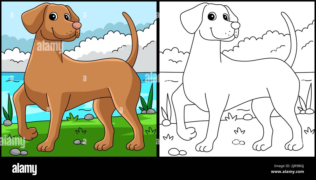Vizsla Dog Coloring Page Colored Illustration Stock Vector