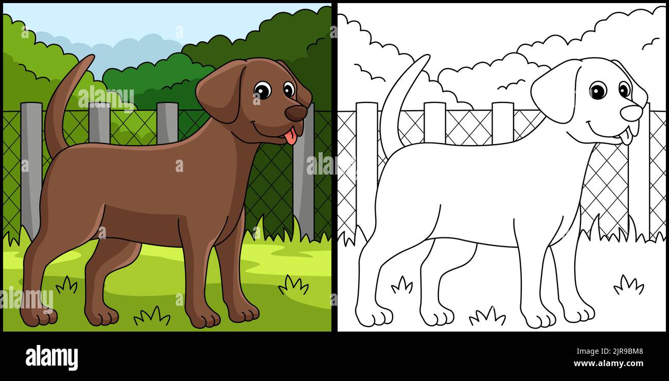 Chocolate Lab Dog Coloring Page Illustration Stock Vector