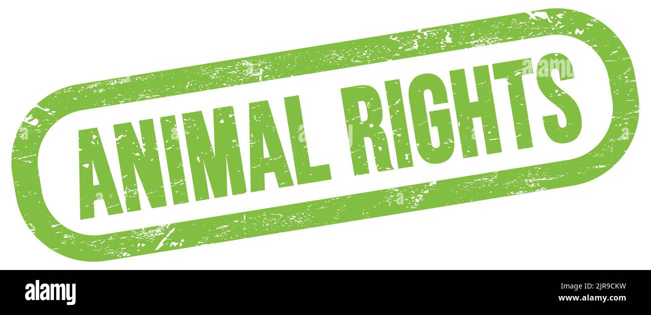 ANIMAL RIGHTS, text on green rectangle stamp sign Stock Photo - Alamy