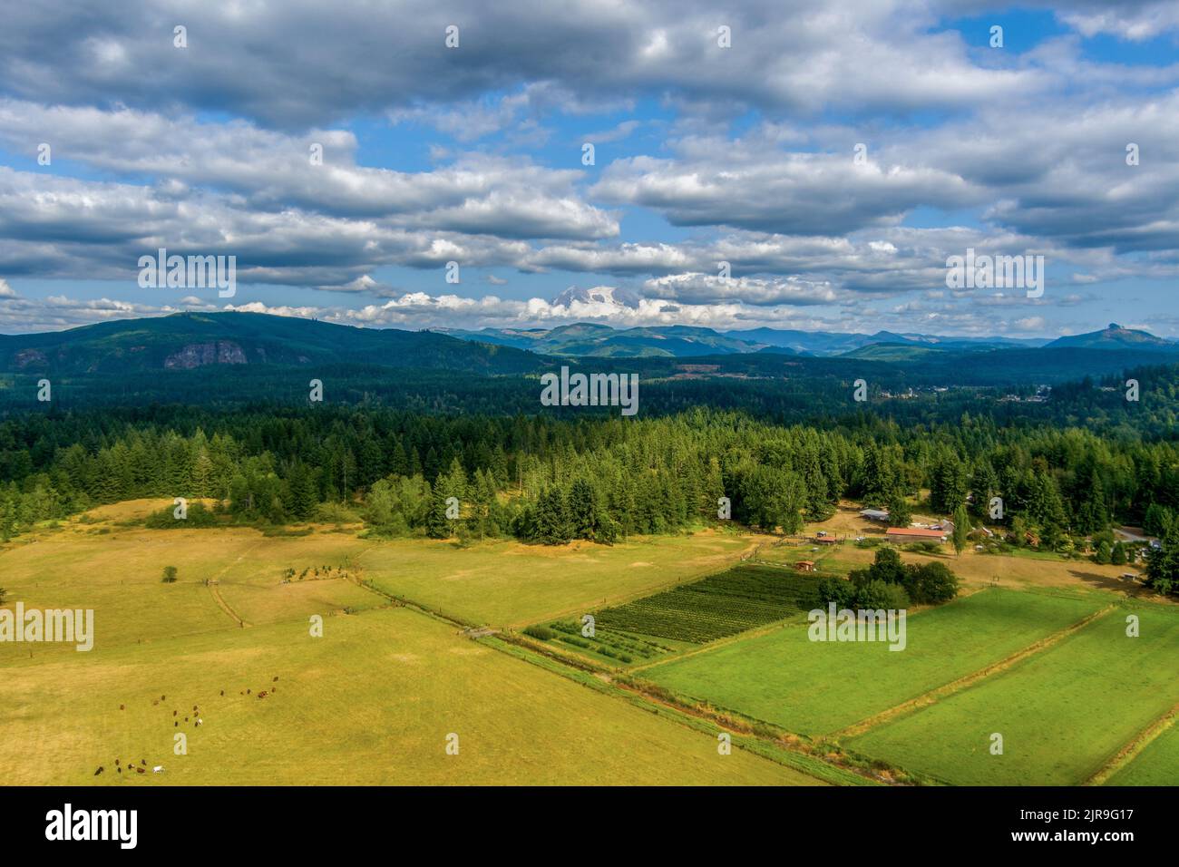 Mount Rainier on the horizon from Eatonville, Washington Stock Photo