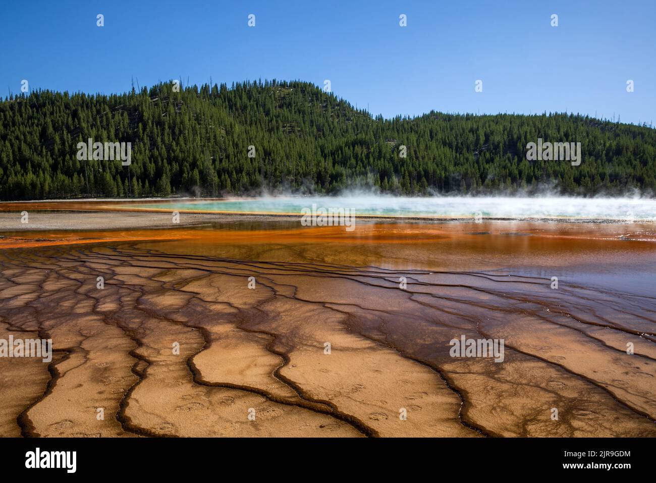 Steam rises off colorful Grand Prismatic Spring in the Midway Geyser Basin of Yellowstone National Park, Teton County, Wyoming, USA. Stock Photo