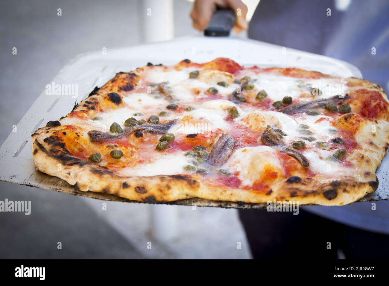 Homemade anchovy and cheese pizza with tomato. No people Stock Photo