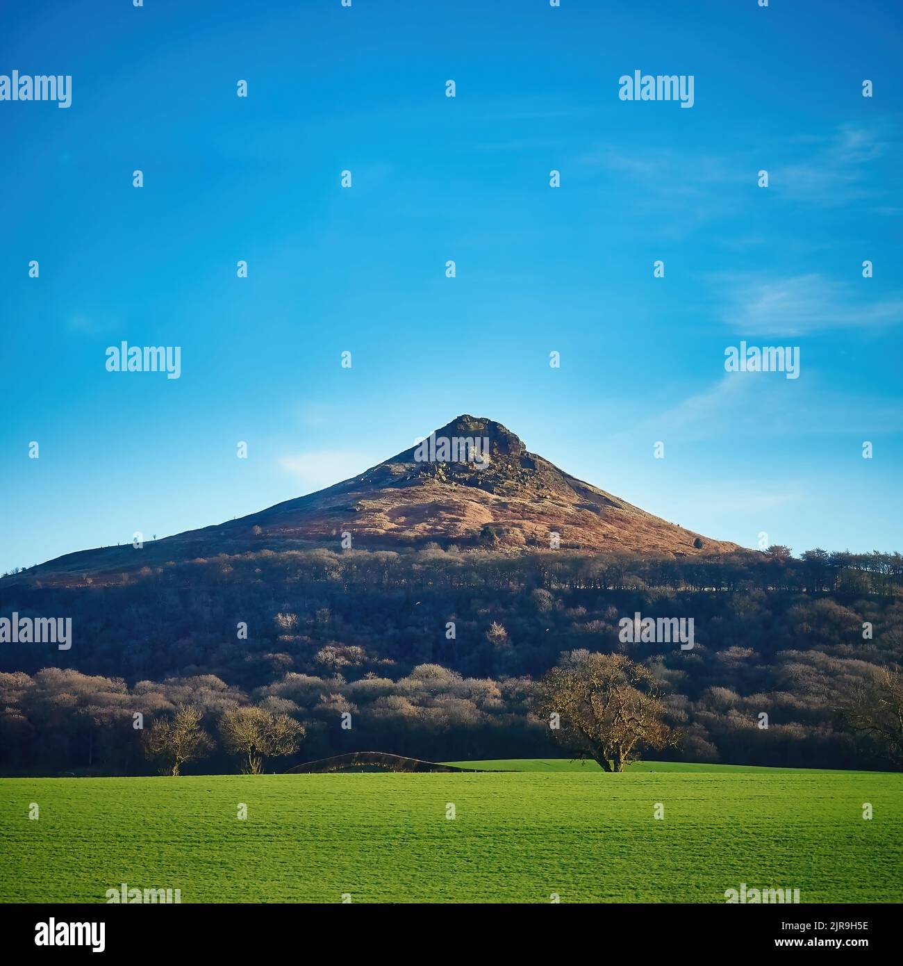 The fields and woodland slopes of Roseberry Topping near the North Yorks Moors, seen in bright, crisp winter sunlight against a saturated blue sky. Stock Photo